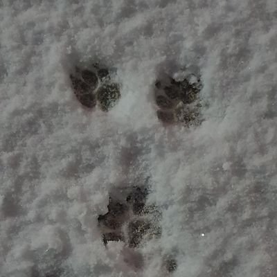 door_die5's profile picture. quantum jump