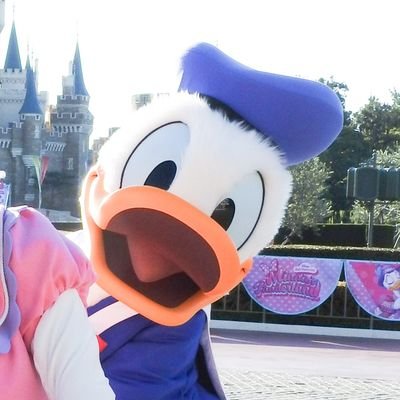 kurage_dn1d's profile picture. ドナルドダックとミニーマウスとレインボールアウ🌺