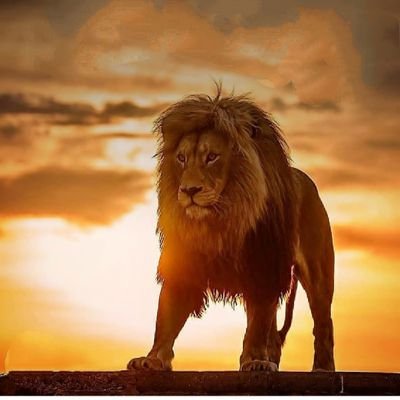 Devraj202210's profile picture. 