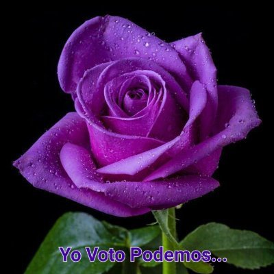 De izquierdas, republicano, antifascista y anticlerical. Simpatizo con @PODEMOS
#AmorPorLosAnimales
