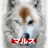 さくぅ〜🌏🇯🇵 (@kk_kd_ry) 's Twitter Profile Photo さくぅ〜🌏🇯🇵 (@kk_kd_ry) 's Twitter Profile Photo