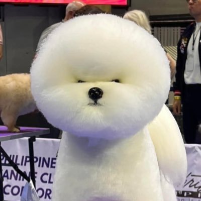 anickablaire's profile picture. 