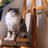 blessed (@blessed_aria) Twitter profile photo