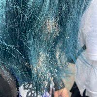 KAiRI (@kairi_neco) 's Twitter Profile Photo