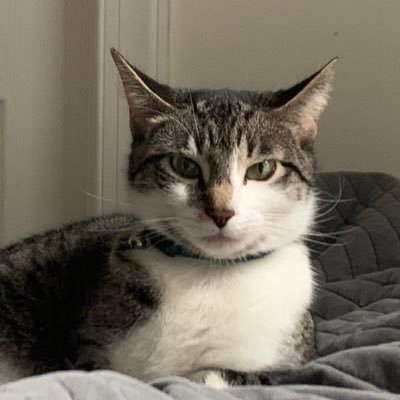 JJisheretostay's profile picture. audio engineer and sound designer || queer as hell || they/them|| DM for rates and booking