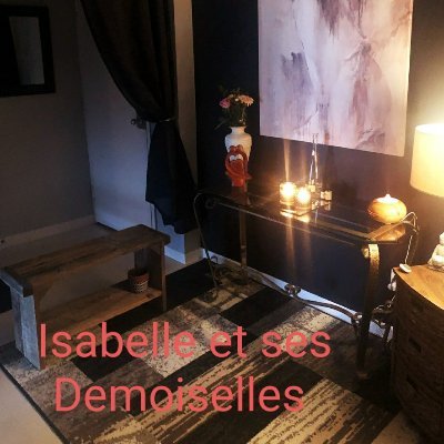New location 
Chez Isabelle et ses demoiselles
Nice private condo in hull (St-joseph)
Parking 
Please call unblock for more information and booking
8196396334