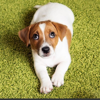 StevenJ81279168's profile picture. 