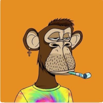 HalexCryp's profile picture. Crypto and nft enthusiast