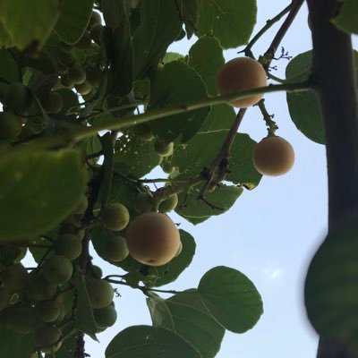 rzoq2020's profile picture. 