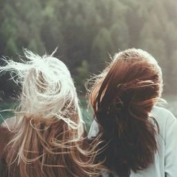 sesleso86697's profile picture. 