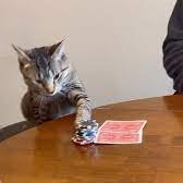 DarylFogg1's profile picture. .