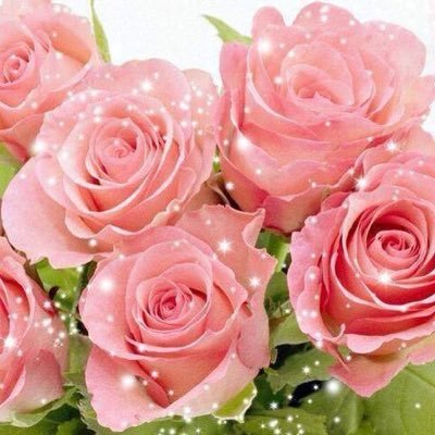 4hn9gcG29mLzhaP's profile picture. 20代の自閉症、重度知的障害の息子君と二人暮らし。 アラ還ママです。まだまだ仕事頑張ってます。ワンコ🐶とお花に癒されてます。断捨離ボチボチ頑張り中。よろしくお願いします😊