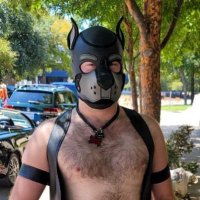Astro pup (@astr0_pup) 's Twitter Profile