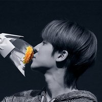 yunhowho🌸 (@yunhowho) 's Twitter Profile