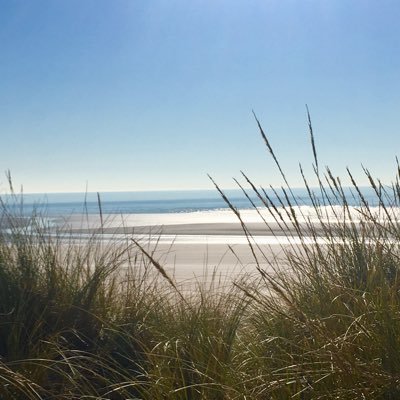 Marsh View Cottage is a self catering cottage in Camber Sands,Rye, nestled between the sandy beach & SSSI protected marshes. We welcome dogs too.