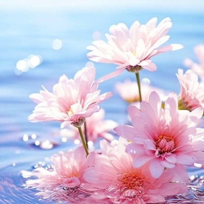 Michaelzm154762's profile picture. 我爱中国🇨🇳🇺🇸，同样我也爱你们所有人，我是一名医生，我喜欢交朋友，希望我们都能成为朋友，信任，诚实，爱你们所有人❤️，我爱我的国家🇨🇳🇺🇸