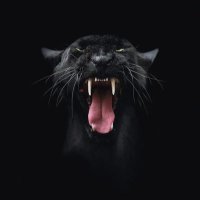 إفطيم (@ef6aimu) 's Twitter Profile