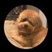AndyB (@poseyincharge) Twitter profile photo AndyB (@poseyincharge) Twitter profile photo