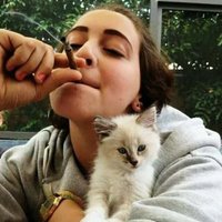 Lily (@sesmash14936) 's Twitter Profile