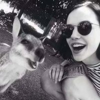Slecasm (@slecasm8189) 's Twitter Profile