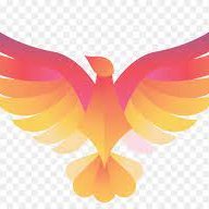 fan_coins's profile picture. 