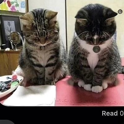 Goslingrn's profile picture. 