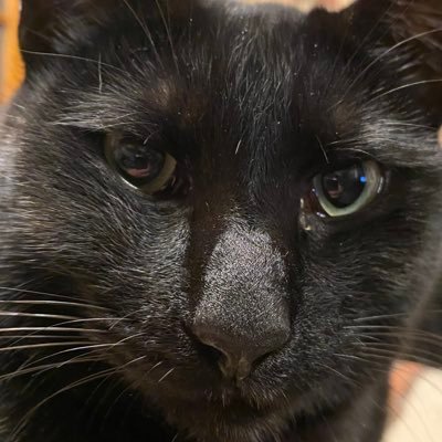 muuanmx3's profile picture. 