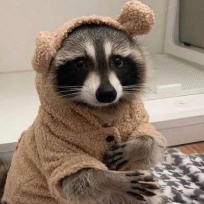 new small streamer, partime batman