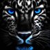 AJIBOLA (@bigfeez_5) Twitter profile photo AJIBOLA (@bigfeez_5) Twitter profile photo
