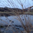 Billy Armour - @harleybiker1963 - Twitter