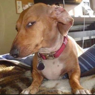 Trophy__boi's profile picture. 