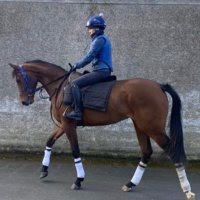 Foxley Stables (@foxley_stables) 's Twitter Profile Photo Foxley Stables (@foxley_stables) 's Twitter Profile Photo