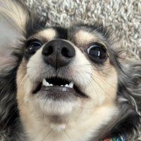 Parker (@parkerstinski) 's Twitter Profile