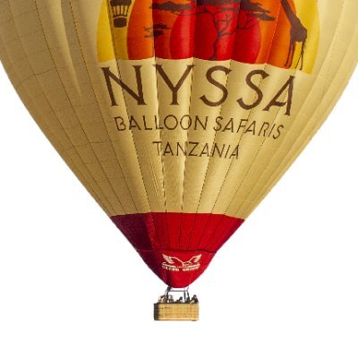 NyssaBalloon Profile Picture