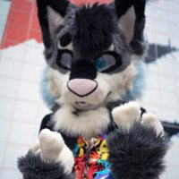 Pixxle πFWA (@pixxlefox) 's Twitter Profile Photo Pixxle πFWA (@pixxlefox) 's Twitter Profile Photo