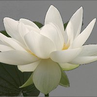 Andari Spa (@andarispa) 's Twitter Profile
