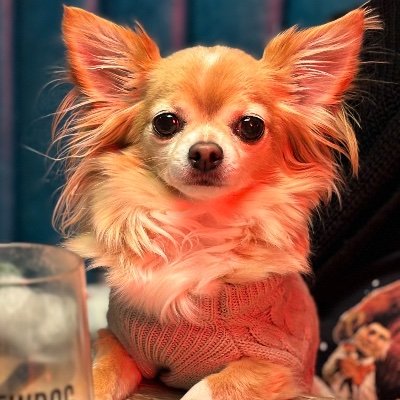 22qmummy's profile picture. 💪🏻💜
Mum to 3 amazing girls one with 22q 🧬🥰