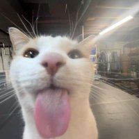 saturn (@mathbath1111) 's Twitter Profile