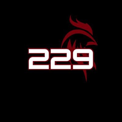 South Carolina Gamecocks sports content 🐔🤙 | Direct affiliate of @229Sports_ | Daily Posts | Recruiting News | Not affiliated with @gamecocksonline