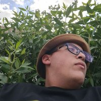 Nabil Salah (@nabil__salah) 's Twitter Profile Photo