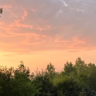 senoj_naes's profile picture. 