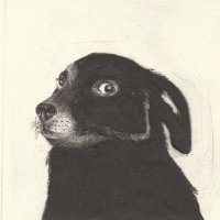 perrito barista (@carlitospindola) 's Twitter Profile Photo