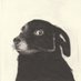 perrito barista (@carlitospindola) Twitter profile photo perrito barista (@carlitospindola) Twitter profile photo