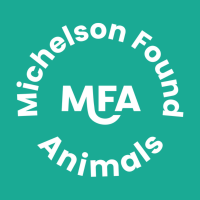 Michelson Found Animals (@foundanimalsorg) 's Twitter Profile Photo Michelson Found Animals (@foundanimalsorg) 's Twitter Profile Photo