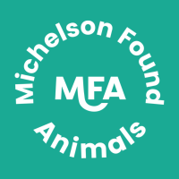 Michelson Found Animals(@FoundAnimalsOrg) 's Twitter Profileg