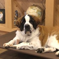 Deb Deb (@debbiepreuser) 's Twitter Profile