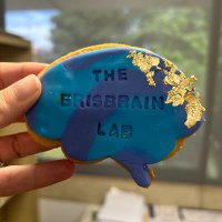 The BrisBrain Lab (@brisbrain_lab) 's Twitter Profile Photo The BrisBrain Lab (@brisbrain_lab) 's Twitter Profile Photo