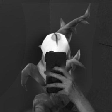 PEEPERIDVRP's profile picture. I see you reading this ... || RP ACCOUNT ( 🇵🇸🍉 )