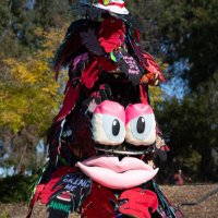 Stanford Tree 🌲(@DaStanfordTree) 's Twitter Profile Photo