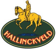 Manege en Dressuurstal Hallinckveld is een gezellig FNRS bedrijf waar Thea Schouten en Hellen Rotteveel iedereen de kunsten van het paardrijden leren.